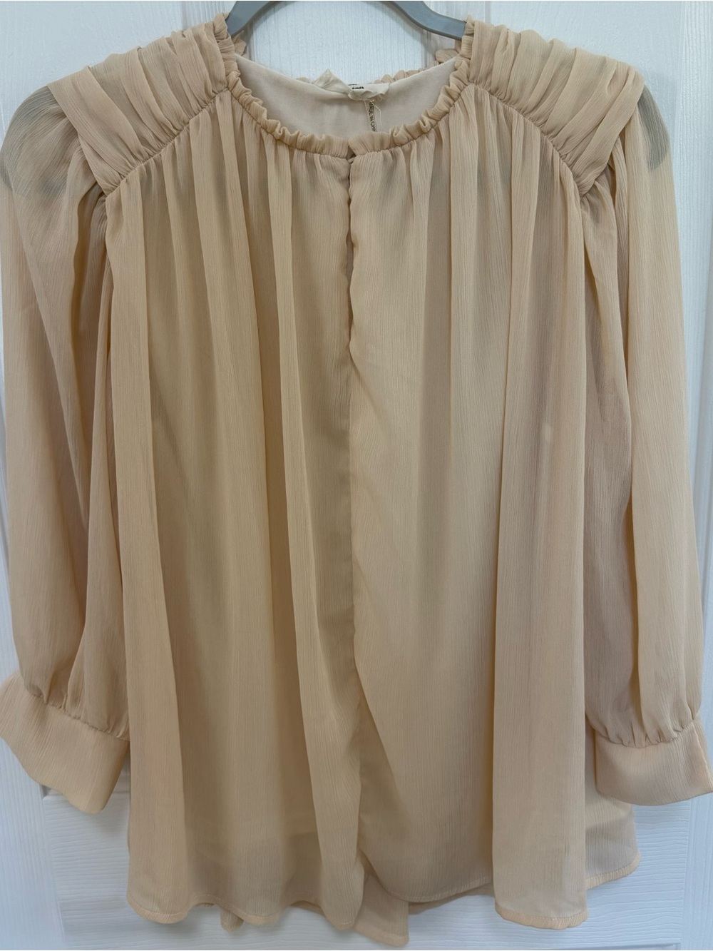 entro Beige Sheer Flowy Chiffon Blouse
